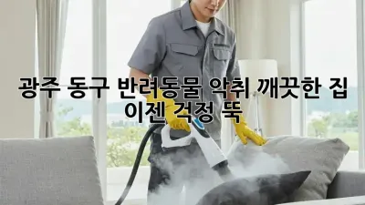 광주 동구 반려동물 악취? 깨끗한 집, 이젠 걱정 뚝!