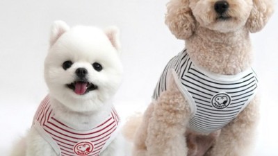 겨울왕국 댕댕이? ☃️ 따뜻한 스누피 뽀글이 강아지옷 후기!